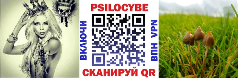 ссылка на мегу зеркало  Южа  Галлюциногенные грибы мицелий 